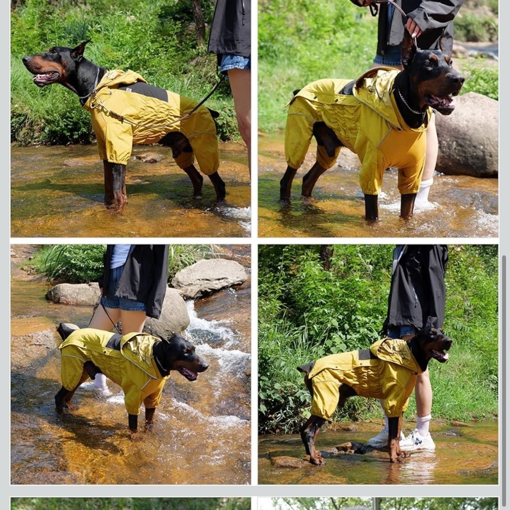 Dog Raincoat With Removable Hood – Outdoor Full Body Pet Rain Gear XXL/564-BB1 - Picture 3 of 4